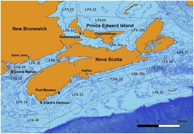 Long-read sequencing reveals the shell microbiome of apparently healthy American lobsters Homarus americanus from Atlantic Canada